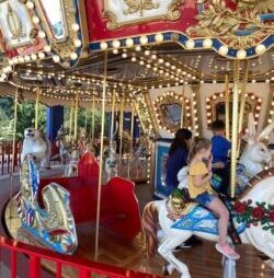 SHARE IN THE MAGIC OF SUE’S CAROUSEL