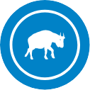 LargeaniIcon